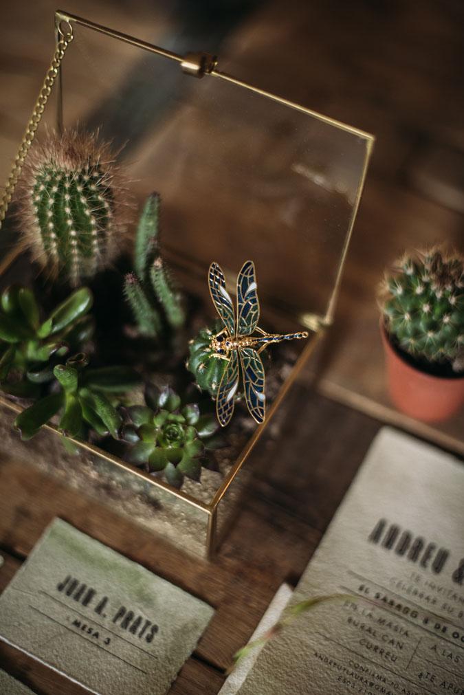 cactus and love ladichosa 