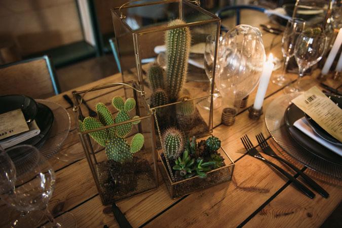 cactus and love ladichosa 