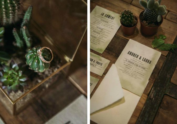 cactus and love ladichosa 