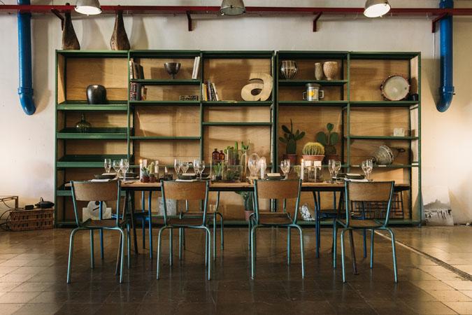 cactus and love ladichosa 