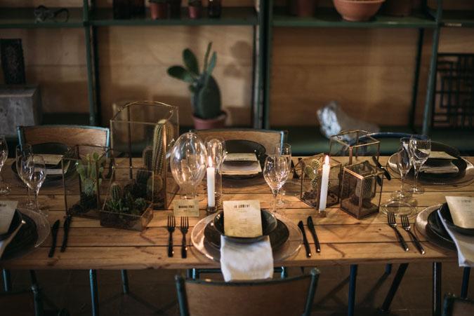 cactus and love ladichosa 