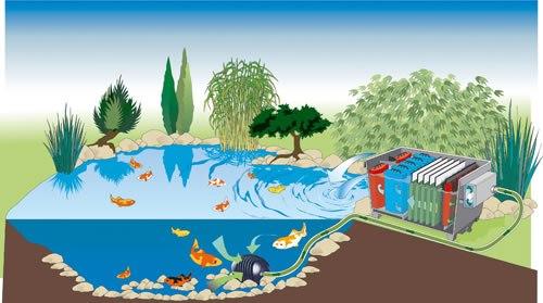 Resultado de imagen para bomba estanque