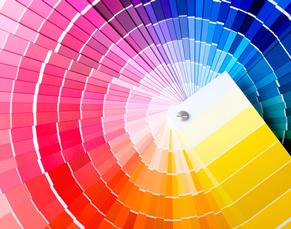  paleta de colores