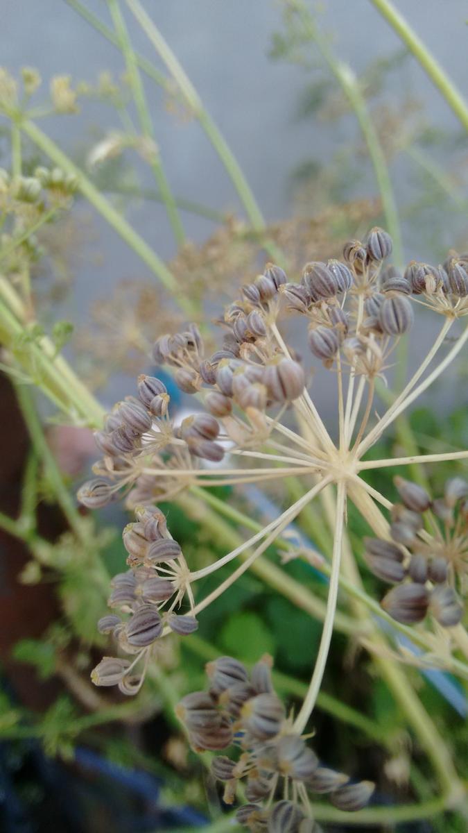 img_20160122_195235051