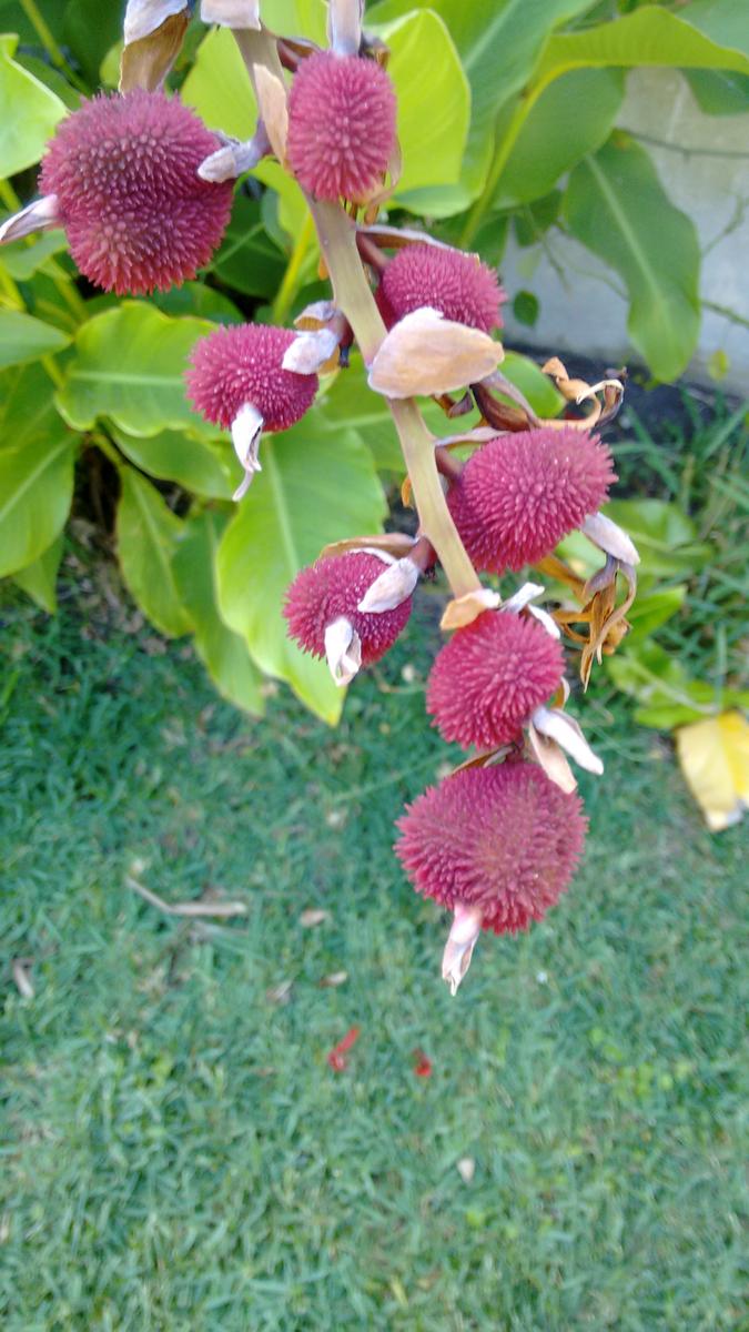 img_20160118_150840238