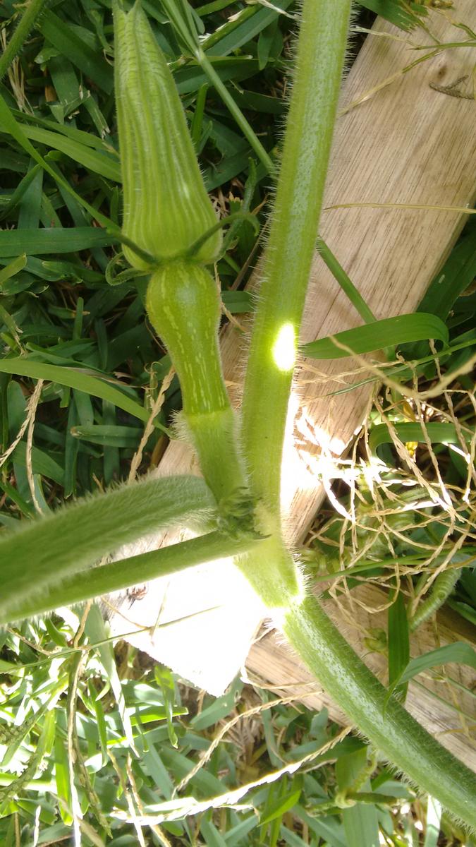 img_20160117_110700426