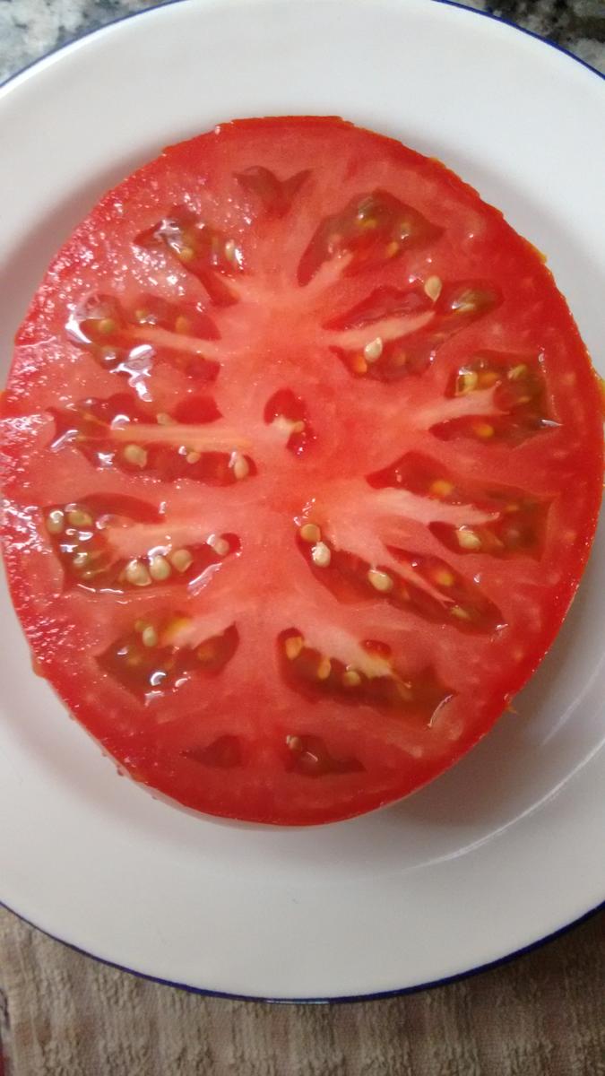 img_20160115_114551159