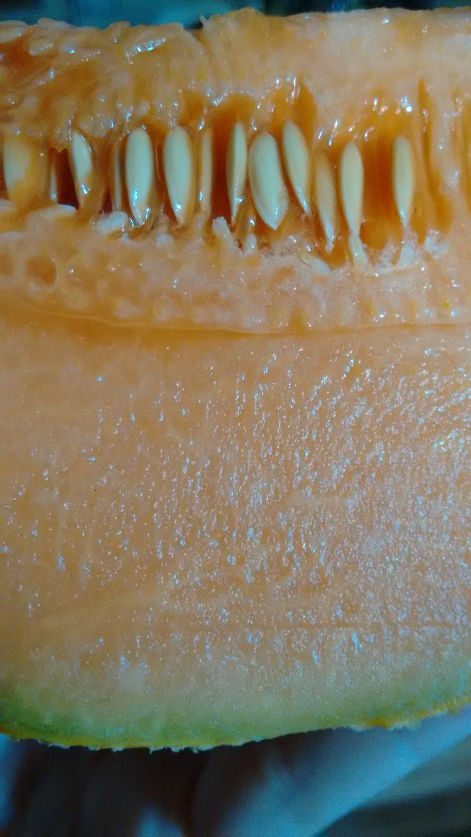 img_20160113_160229596