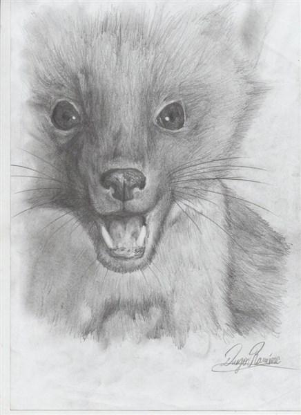 aprender a dibujar animales a lapiz 3