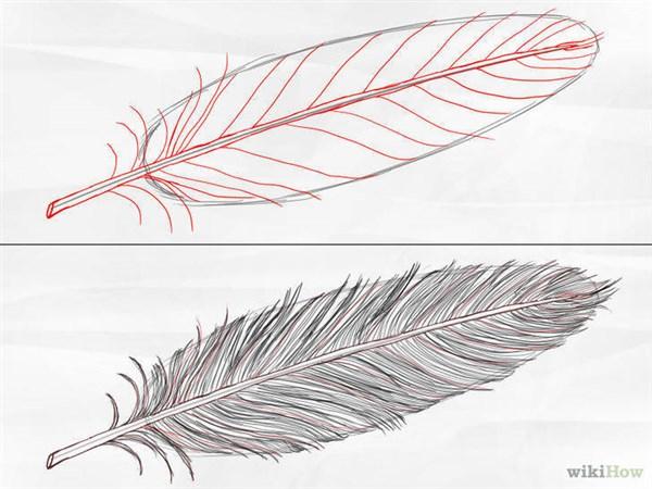 aprender a dibujar animales a lapiz 4