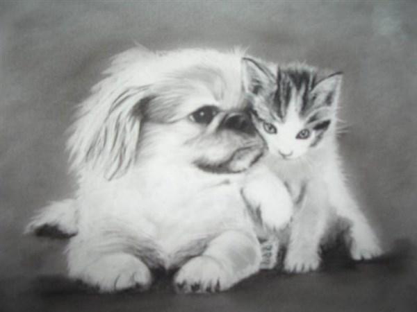 como aprender a dibujar animales domesticos a lapiz 1