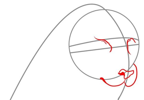 aprender a dibujar animales salvajes a lapiz 2