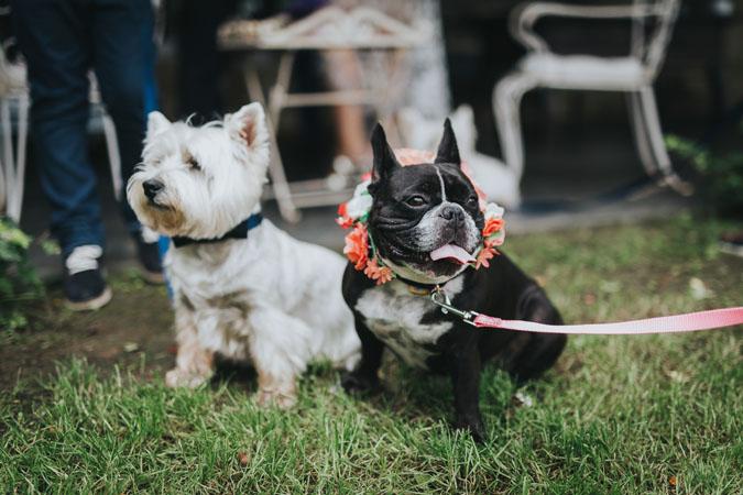 boda sencilla natural de clara y dani