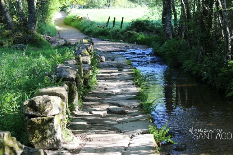 foto de corredoira en el camino frances