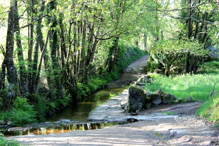 foto de camino de santiago
