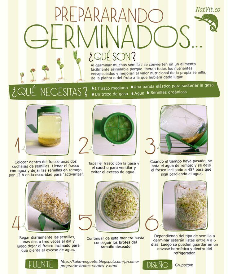 germinados
