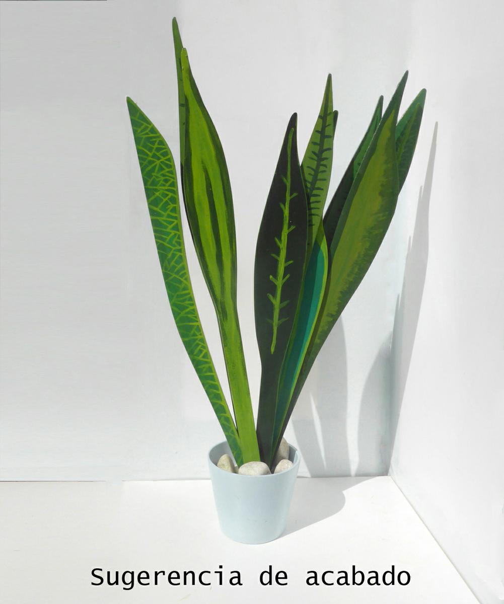 plantas medicinales diy