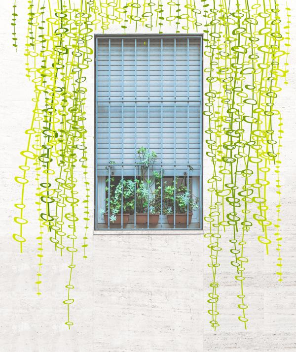 plantas sin mantenimiento