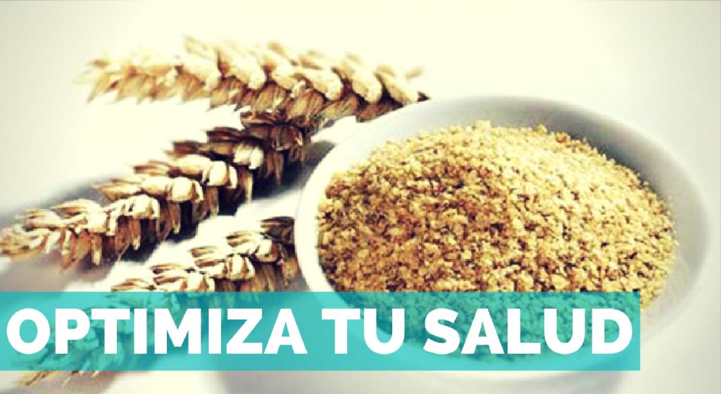 ENTRENA-SALUD-LEVADURA-DE-CERVEZA-Y-GERMEN-DE-TRIGO-PARA-OPTIMIZAR-TU-SALUD