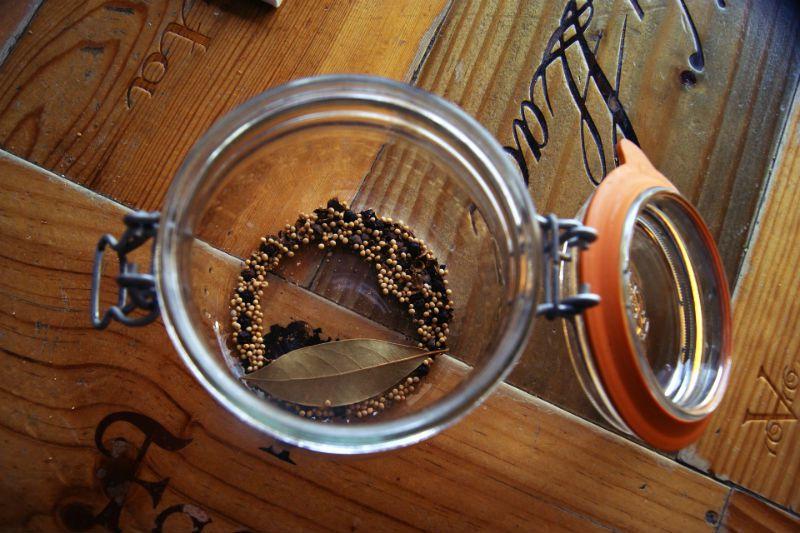 cebolla roja encurtida