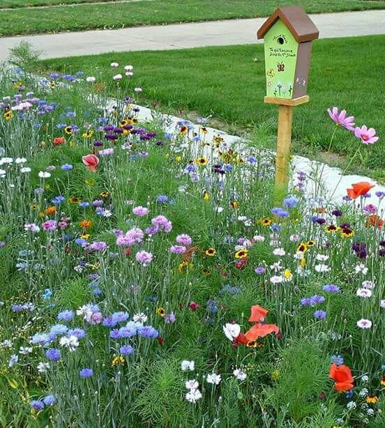 38f8660e001c98b6b9746d6ef7670995