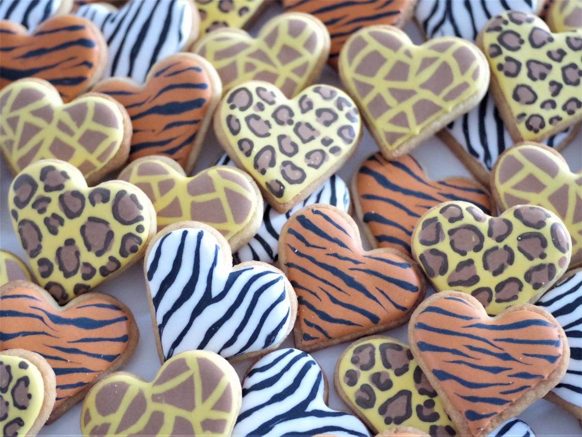 doctorcookies animal print cookies (6)