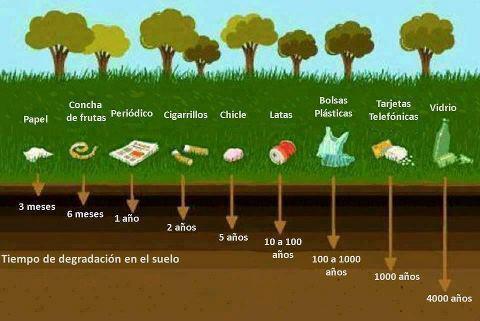 basura reciclar residuos