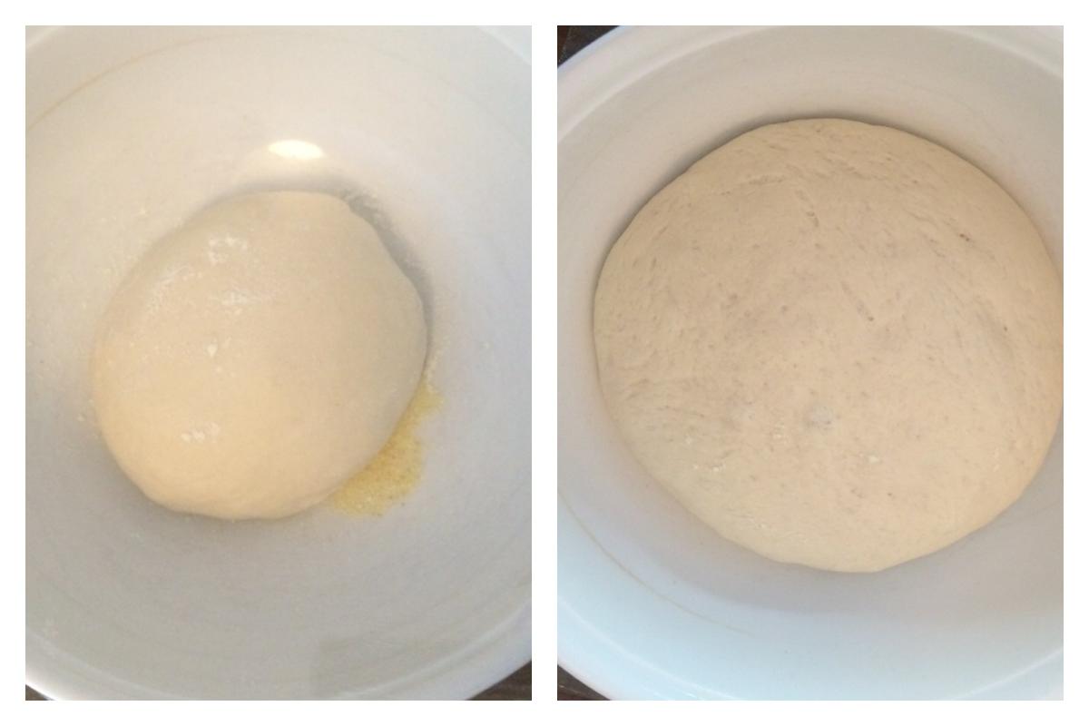 Primera levada de la masa