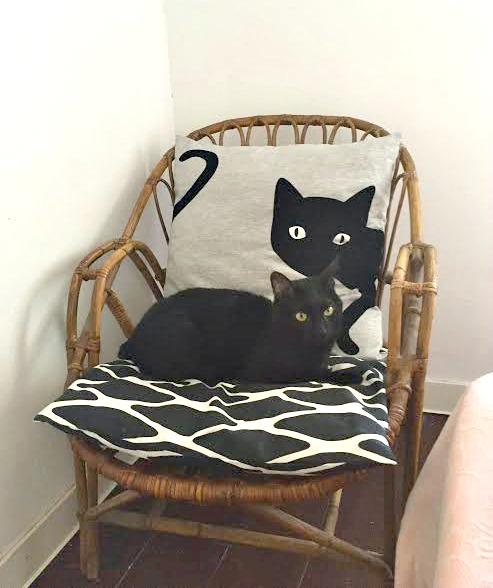 Fibras naturales en decoración nórdica sillón