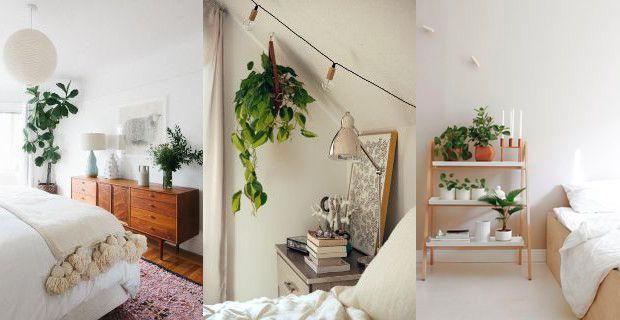 plantas para decorar el dormitorio3