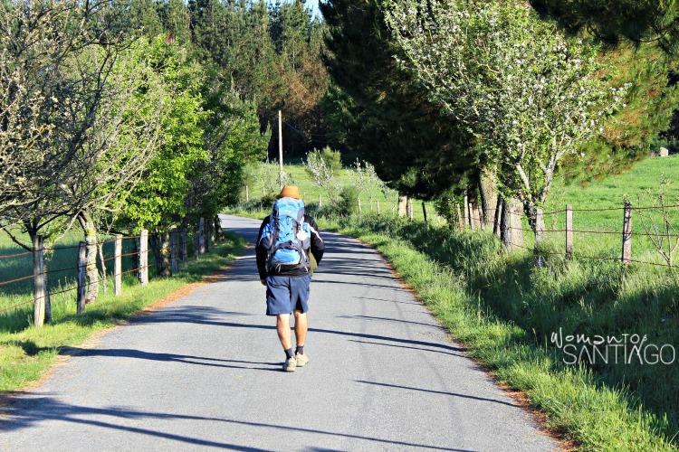 Foto del Camino de Santiago en 3 días