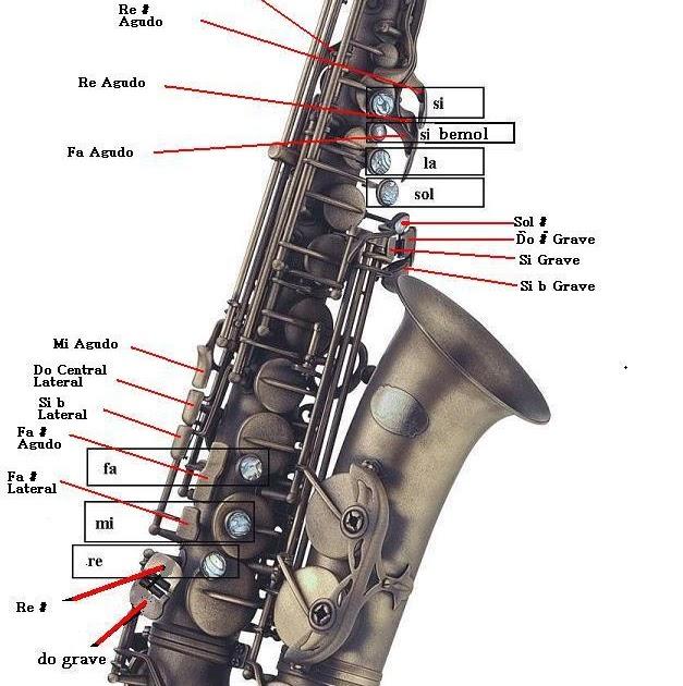 Cómo tocar el saxofón paso a paso
