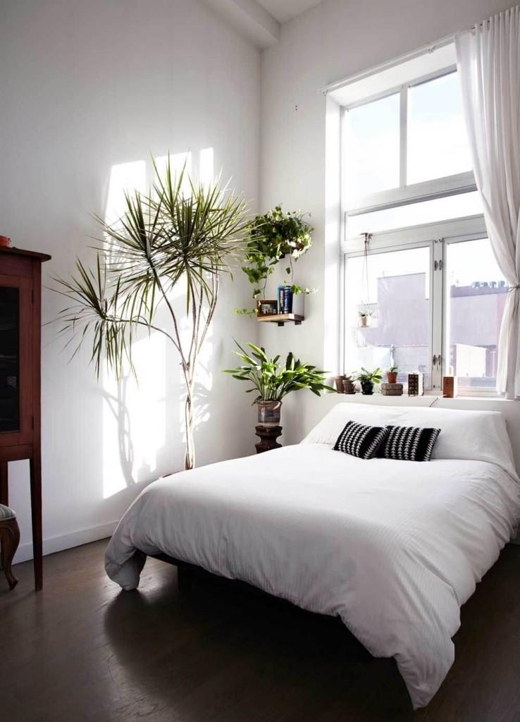 Dormitorio de estilo nórdico con plantas naturales