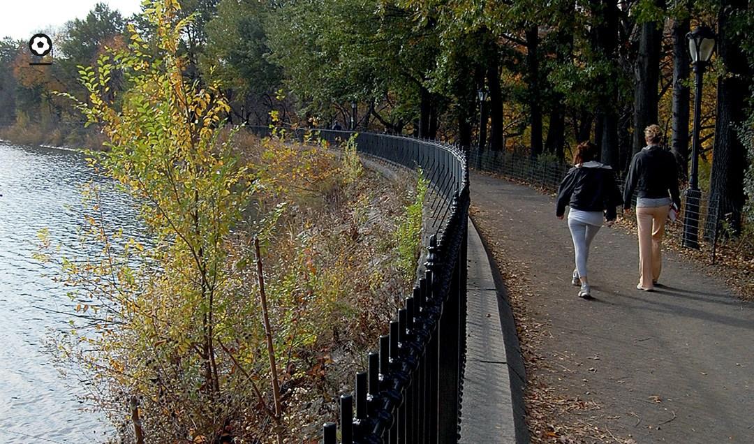 EL CARRIL DE RUNNING