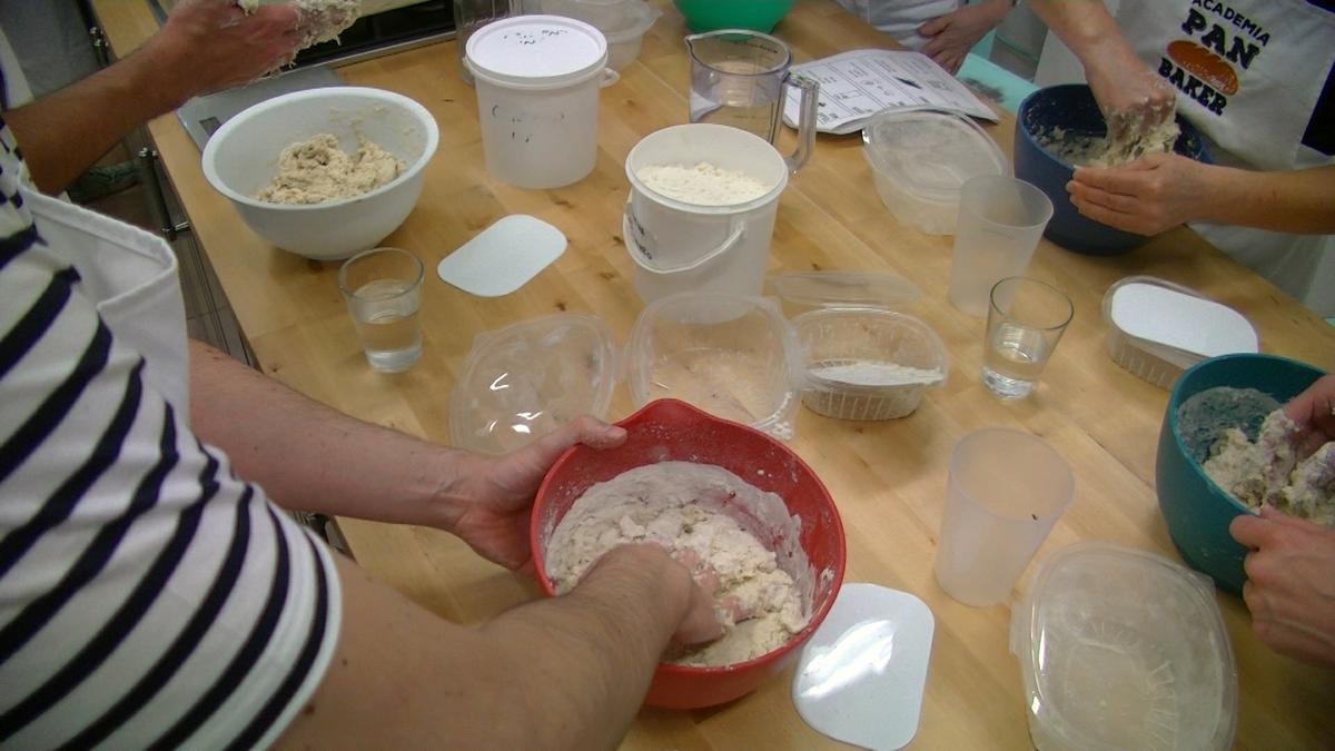 Masa madre para hacer pan