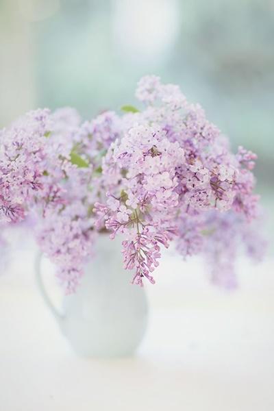 EDISEE-La-boda-con-Diana-Feldhaus_flores-boda-decoración-malva (42)