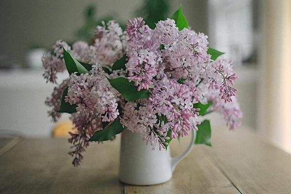 EDISEE-La-boda-con-Diana-Feldhaus_flores-boda-decoración-malva (58)
