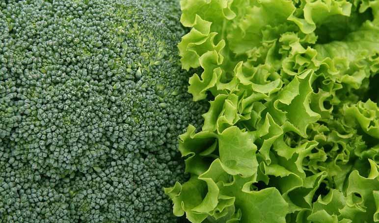 5 errores a evitar para bajar de peso