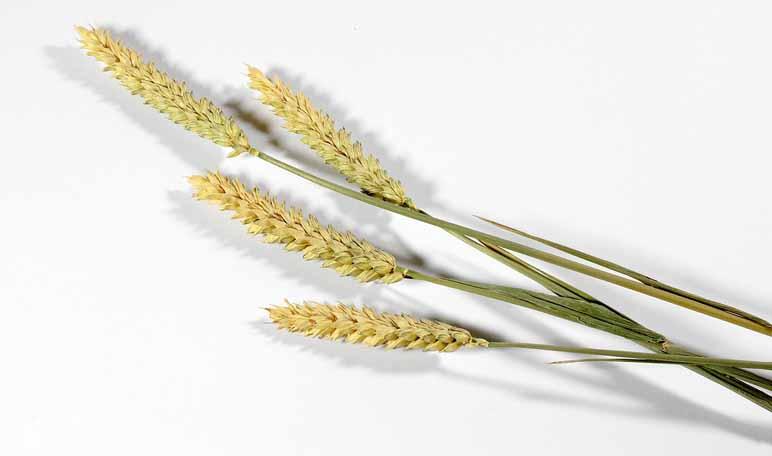 5 errores a evitar para bajar de peso