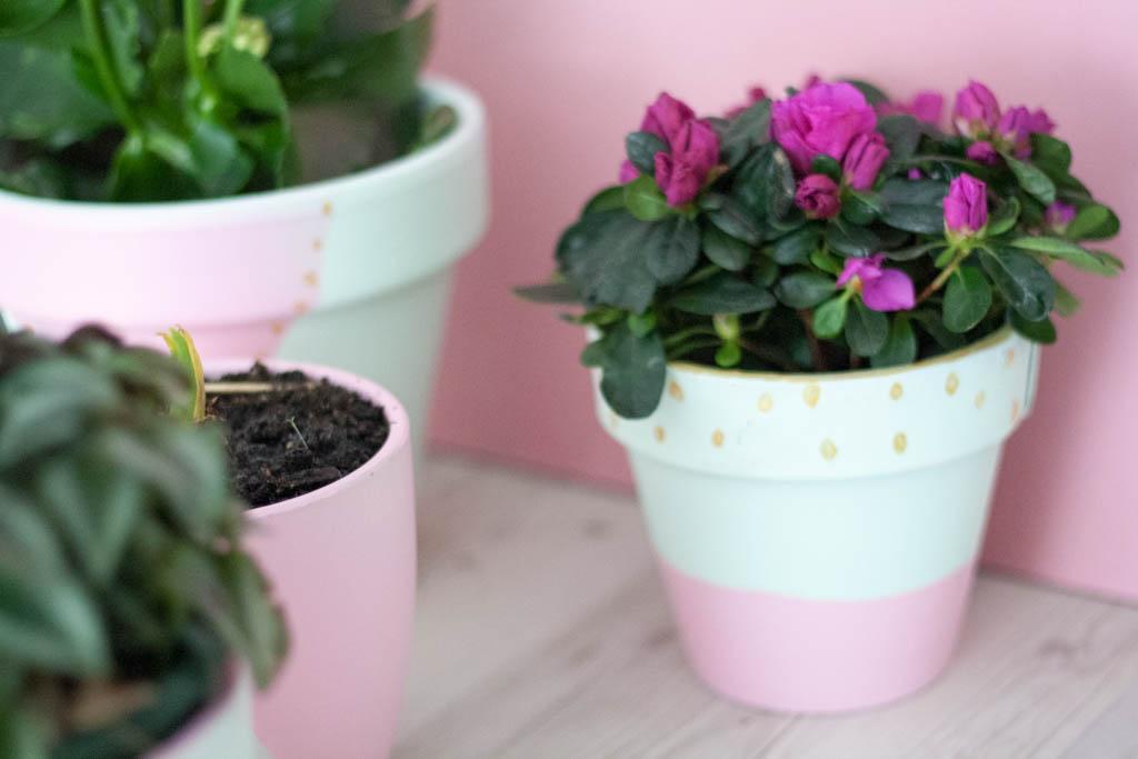 como decorar maceteros