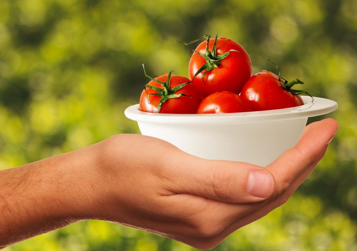 8 beneficios de comprar y consumir alimentos ecológicos. 