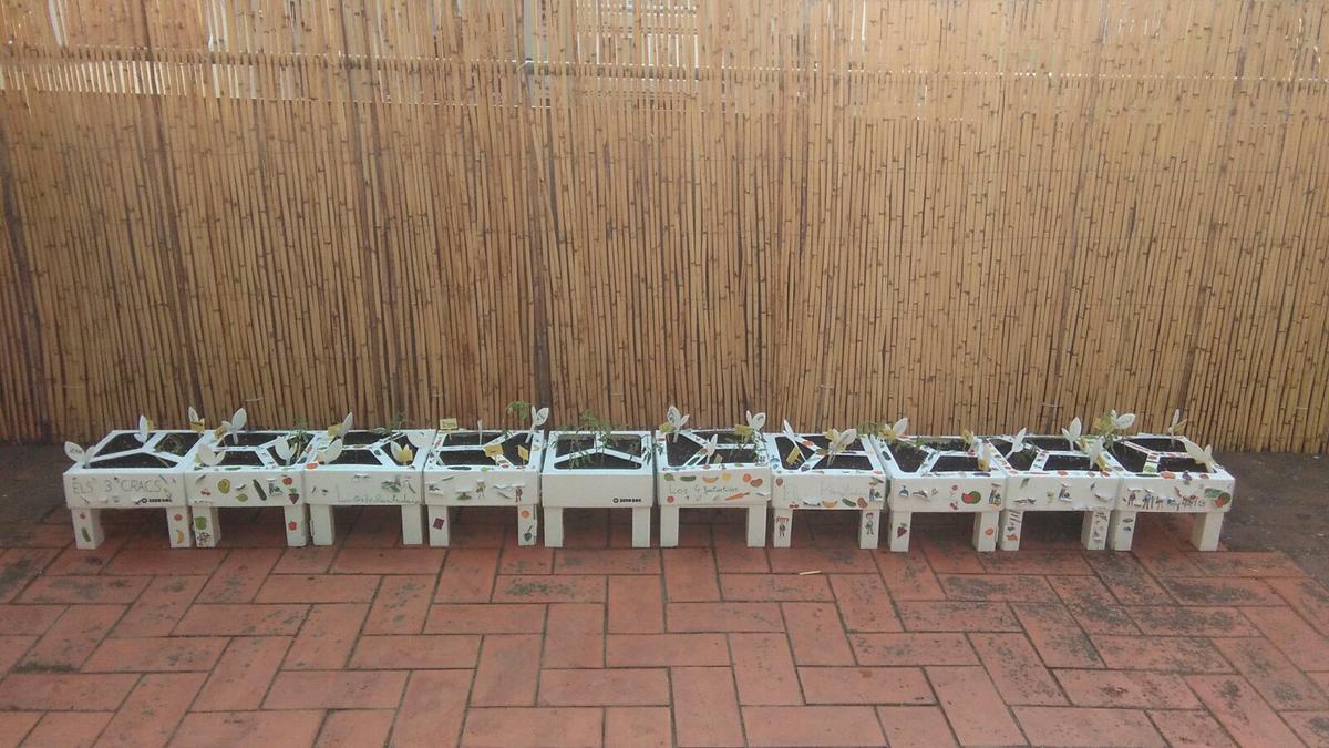 talleres seedbox ecohortum