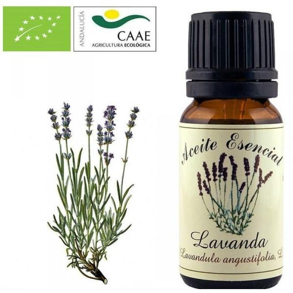 aceite esencial de Lavanda Andalucía Olga Carrera Blogger
