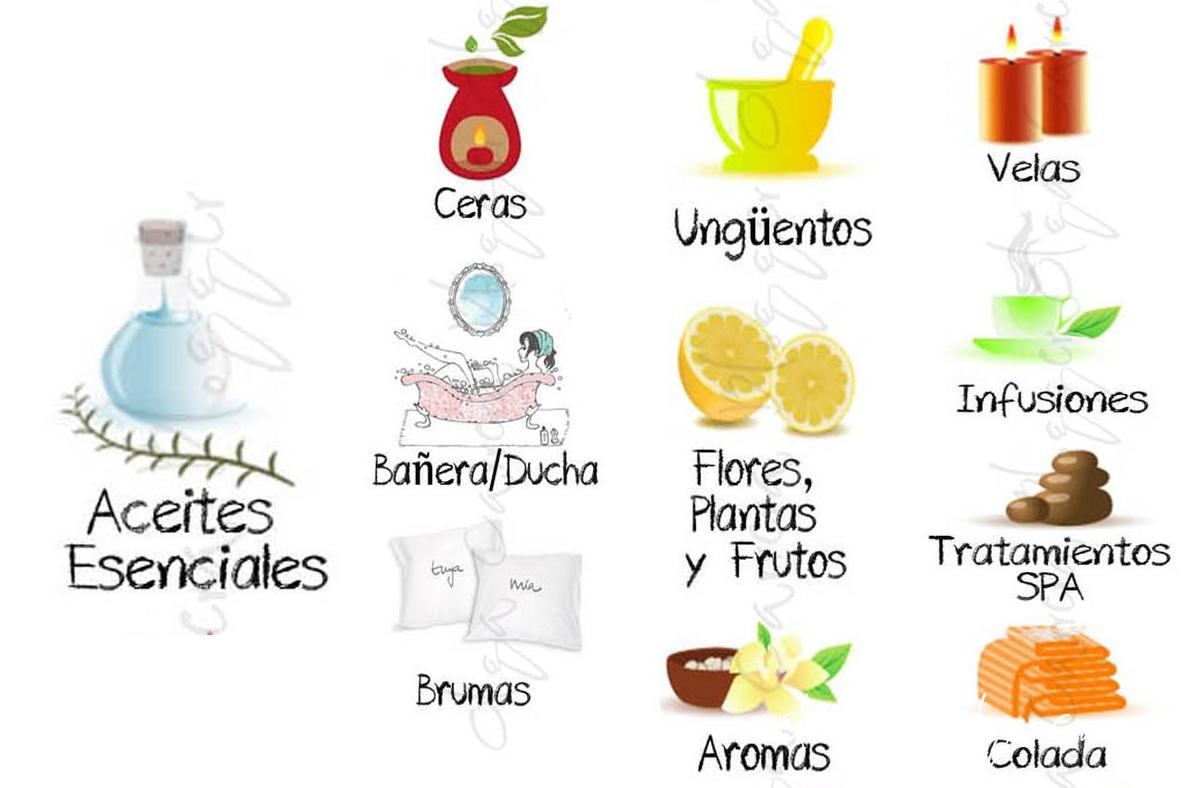 Diferentes aplicaciones de los aceites esenciales por Olga Carrera Blogger