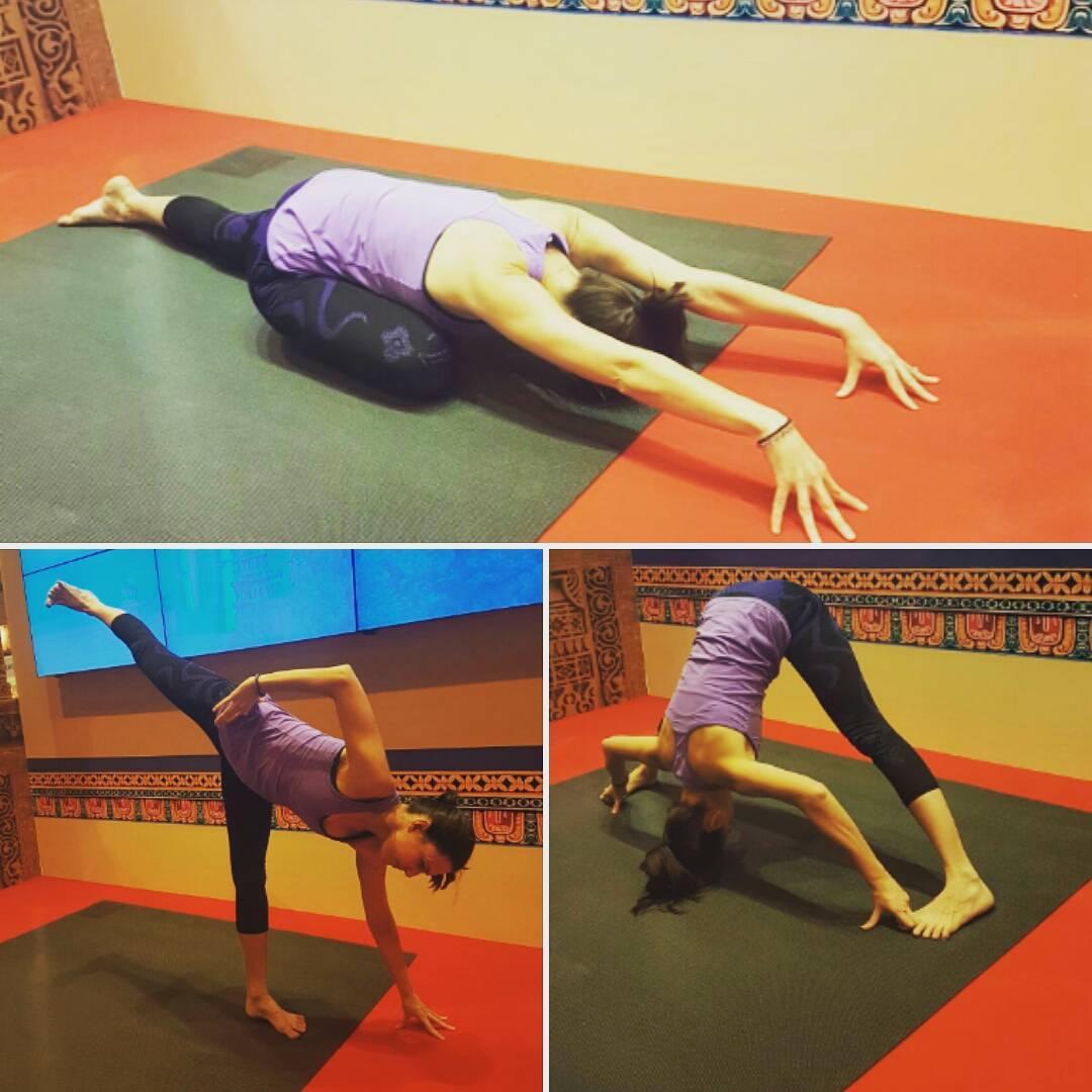 Demostraciones en FITUR 2017