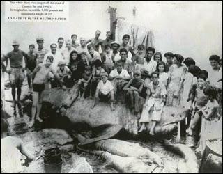 Monstruo de Cojimar, Cuba, 1945