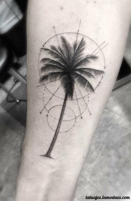Tatuajes de Palmeras