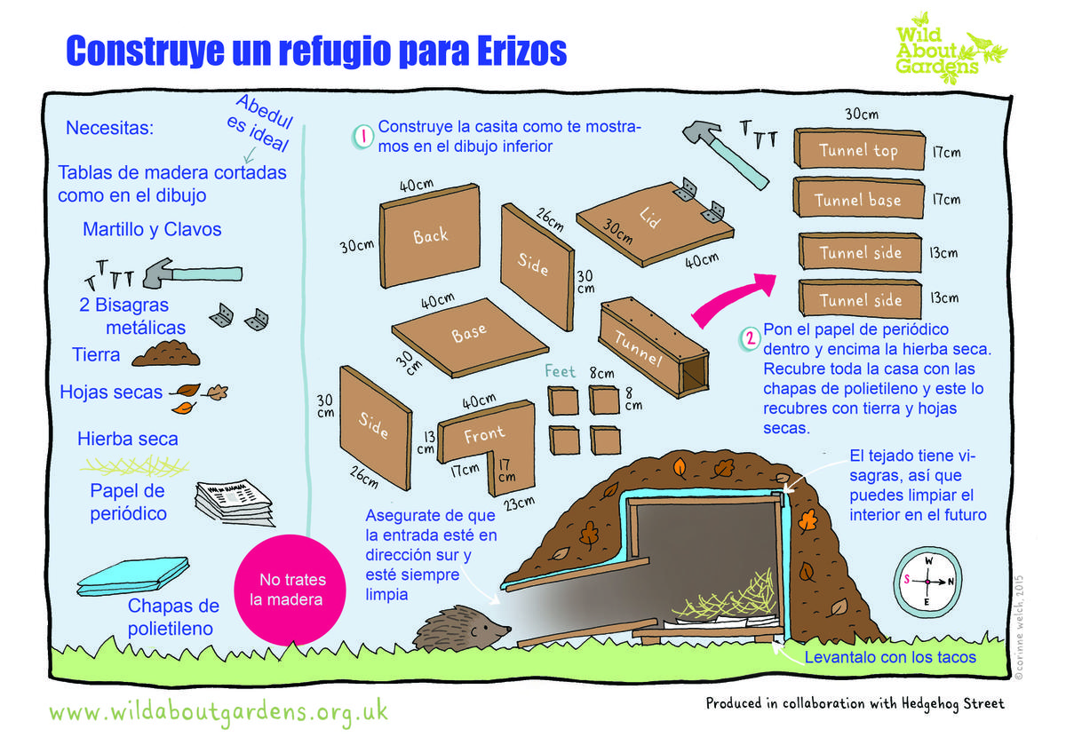 Construye un refugio para erizos | Plantas