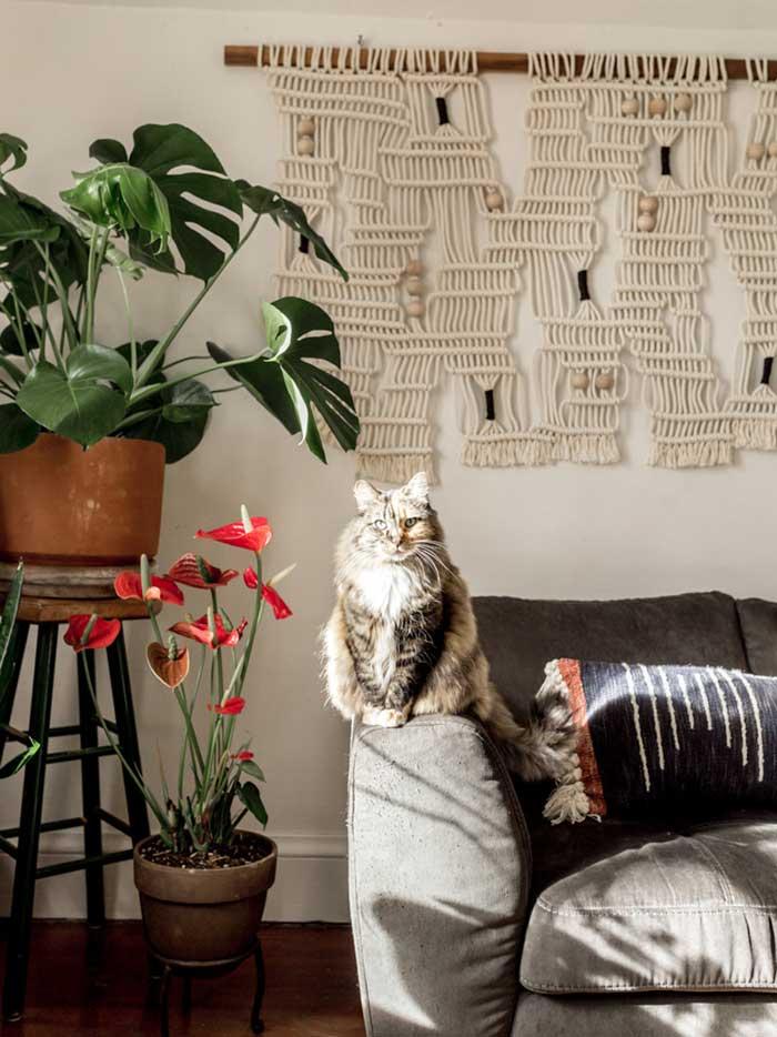 casa personalidad bemydeco