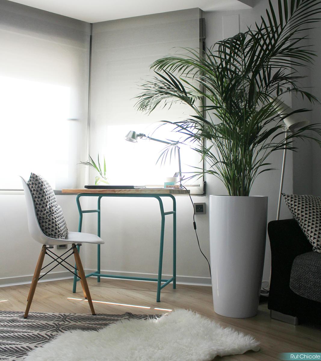 como distribuir el salón